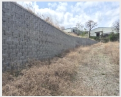  2025Ÿ376  ֽ ܵ õ 120-3      (Ӿ)