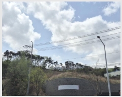  2025Ÿ376  ֽ ܵ õ 120-3      (Ӿ)