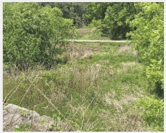  2025Ÿ��384  ����