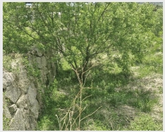  2025Ÿ��384  ����