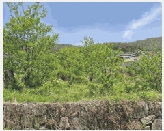  2025Ÿ��384  ����