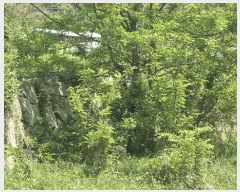  2025Ÿ��384  ����