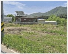  2025Ÿ��384  ����