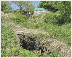  2025Ÿ��384  ����