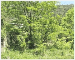  2025Ÿ��384  ����