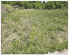  2025Ÿ392  ֽ  791-8       ()