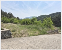  2025Ÿ392  ֽ  791-8       ()