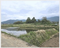  2025Ÿ397  ֽ  357       ()