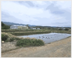  2025Ÿ397  ֽ  357       ()