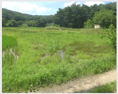  2025Ÿ404  ֽ  357-2       ()