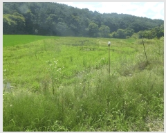  2025Ÿ404  ֽ  357-2       ()