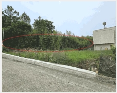  2025Ÿ��412  ����