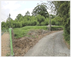  2025Ÿ��412  ����