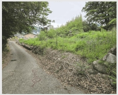  2025Ÿ��412  ����