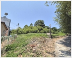  2025Ÿ��412  ����