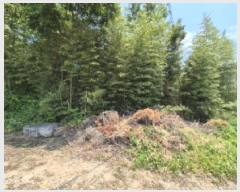  2025Ÿ��412  ����