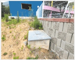  2025Ÿ��416  �ٸ��ü����