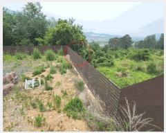  2025Ÿ��416  �ٸ��ü����