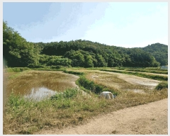  2025Ÿ420  ֽ ϵ 203       (Ӿ)