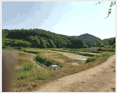  2025Ÿ420  ֽ ϵ 203       (Ӿ)