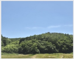  2025Ÿ420  ֽ ϵ 203       (Ӿ)