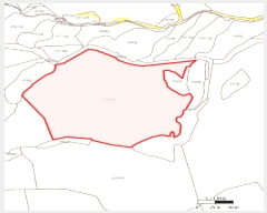  2025Ÿ420  ֽ ϵ 203       (Ӿ)