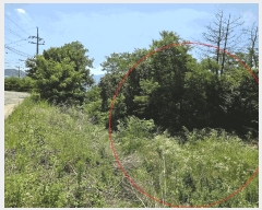  2025Ÿ��436 ��� ���ֽ� �ܵ��� ��ȭ�� ��63      ����(�Ӿ�)���