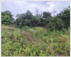  2025Ÿ��436 ��� ���ֽ� �ܵ��� ��ȭ�� ��63      ����(�Ӿ�)���