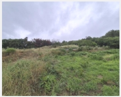  2025Ÿ��436  �����