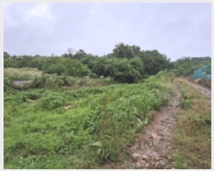  2025Ÿ��436  �����