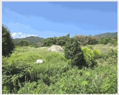  2025Ÿ��436 ��� ���ֽ� �ܵ��� ��ȭ�� 691-9      ����(�Ӿ�)���