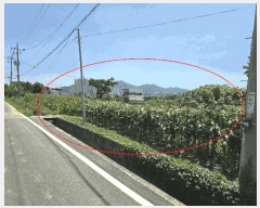  2025Ÿ��436 ��� ���ֽ� �ܵ��� ��ȭ�� 691-9      ����(�Ӿ�)���