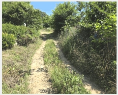  2025Ÿ��436 ��� ���ֽ� �ܵ��� ��ȭ�� 691-9      ����(�Ӿ�)���