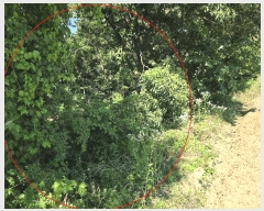  2025Ÿ��436 ��� ���ֽ� �ܵ��� ��ȭ�� 691-9      ����(�Ӿ�)���