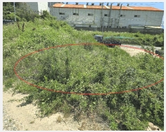  2025Ÿ��436 ��� ���ֽ� �ܵ��� ��ȭ�� 691-9      ����(�Ӿ�)���