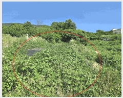  2025Ÿ��436 ��� ���ֽ� �ܵ��� ��ȭ�� 691-9      ����(�Ӿ�)���