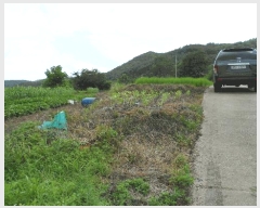  2025Ÿ��452  ����