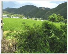  2025Ÿ��452  ����