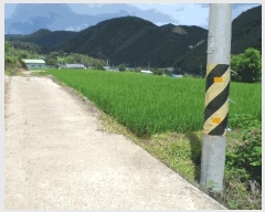  2025Ÿ��452  ����