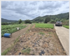  2025Ÿ��452  ����