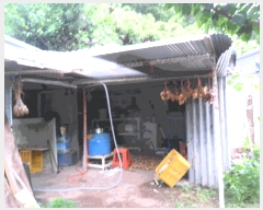  2025Ÿ��456 ��� ���ֽ� �糲�� ���̸� 479      ���ð��