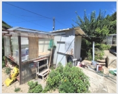  2025Ÿ��456 ��� ���ֽ� �糲�� ���̸� 479      ���ð��