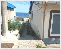  2025Ÿ��459 ��� ���ֽ� ������ ������ 1229      ���ð��