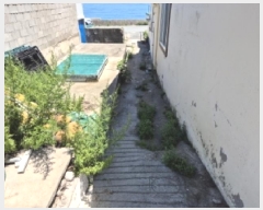  2025Ÿ��459 ��� ���ֽ� ������ ������ 1229      ���ð��