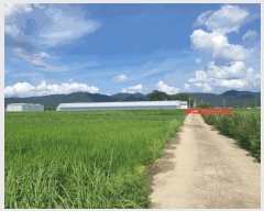  2025Ÿ��476 ��� ���ֽ� õ�ϸ� ���긮 156      ����(��)���