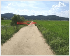  2025Ÿ��476 ��� ���ֽ� õ�ϸ� ���긮 156      ����(��)���