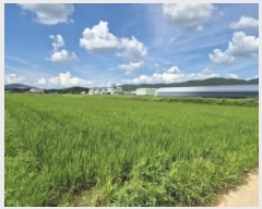  2025Ÿ��476 ��� ���ֽ� õ�ϸ� ���긮 156      ����(��)���