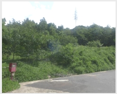  2025Ÿ��496 ��� ���ֽ� �ܵ��� ���踮 694      ����(��)���