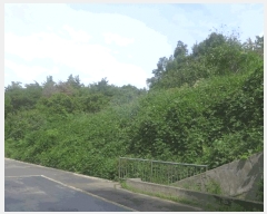  2025Ÿ��496 ��� ���ֽ� �ܵ��� ���踮 694      ����(��)���