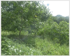  2025Ÿ��496 ��� ���ֽ� �ܵ��� ���踮 694      ����(��)���